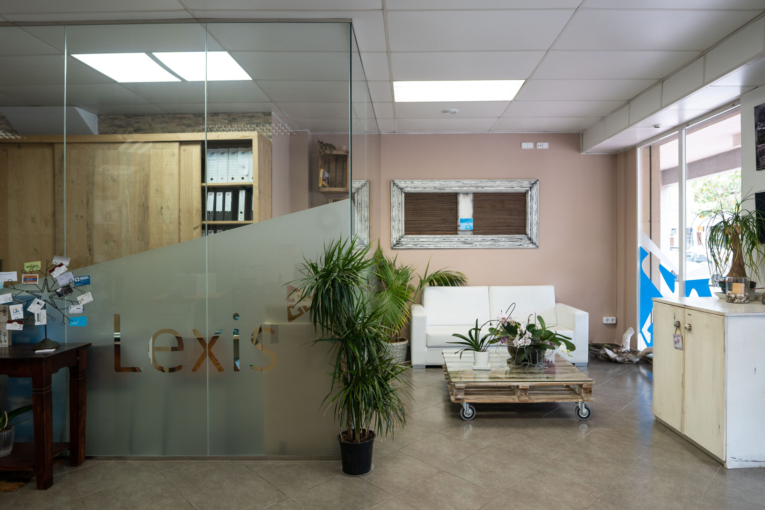 Lexis-9